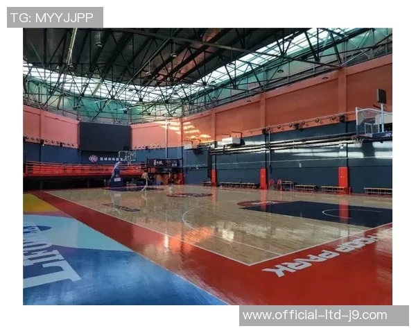 天空之上篮球明星的传奇之路与荣耀时刻揭秘